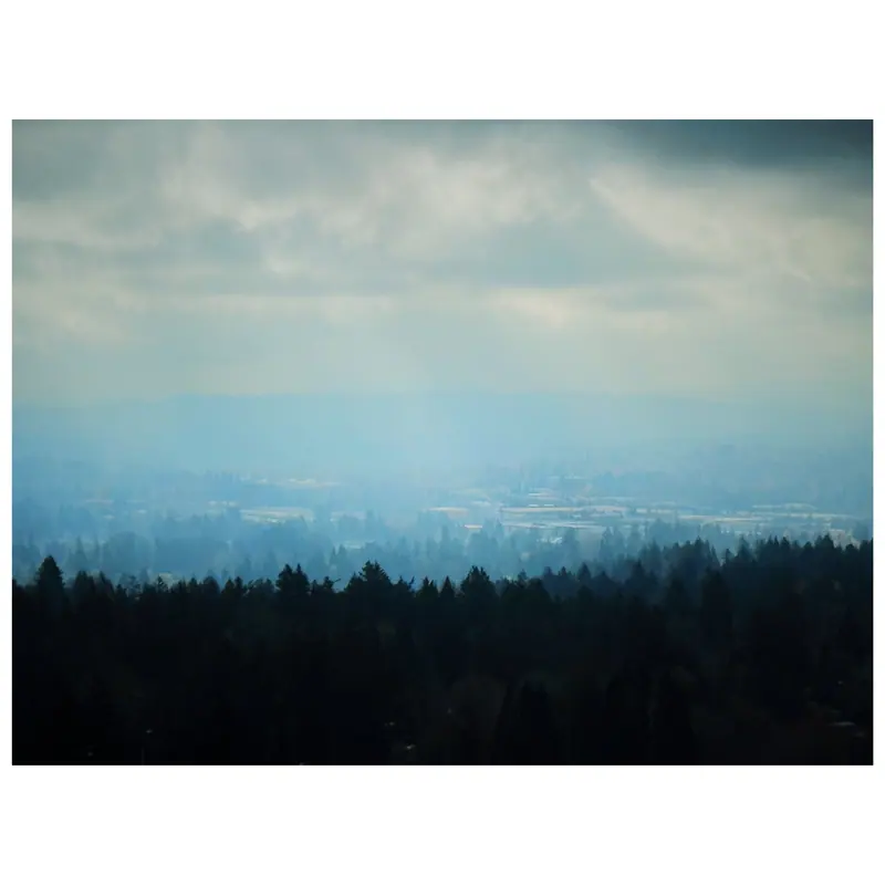 Nature photograph by Gervis Cash