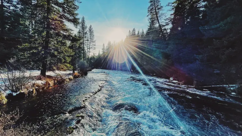 Nature photograph by Gervis Cash
