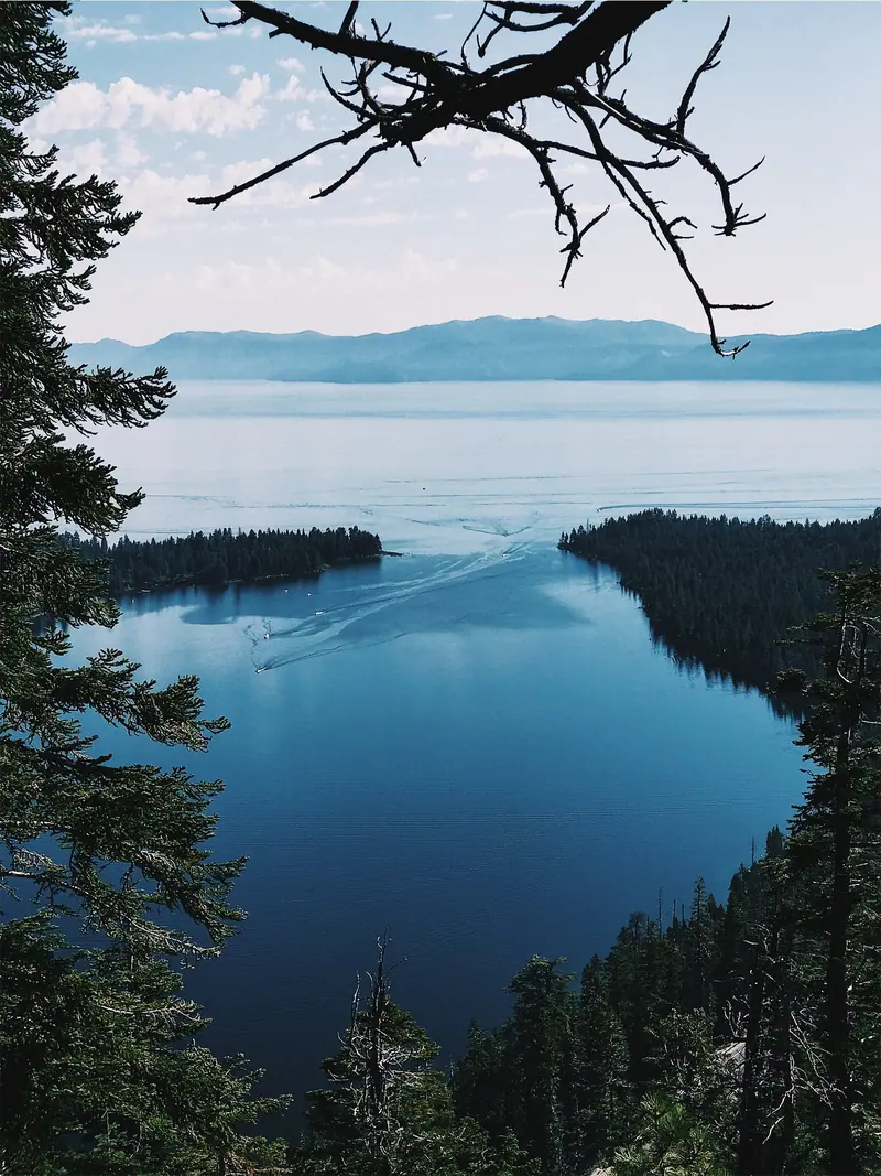 Nature photograph by Gervis Cash